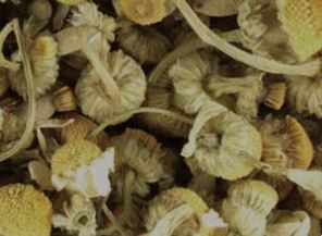 Chamomile Loose Leaf - Organic