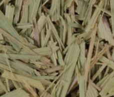 Lemon Grass - Organic